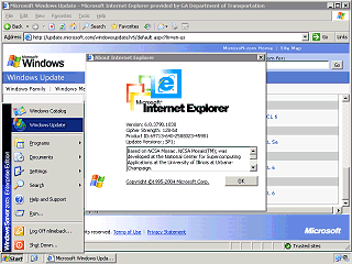 IE on Windows 2003