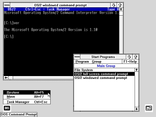 OS/2 1.1 Command Window