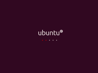 Ubuntu 10.04 Boot Screen