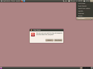 Ubuntu 10.04 Shutting Down