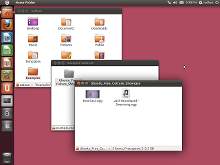 Ubuntu 11 minimal file folders