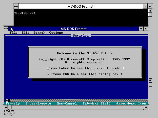Windows 3.1 DOS Boxes