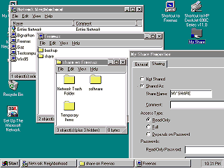 Windows 95 Networking